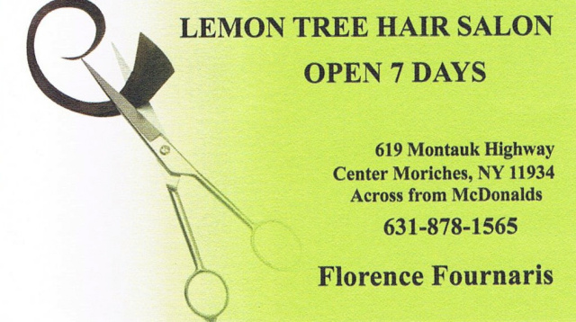 Lemon Tree Hair Salon